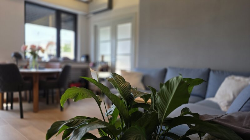 Cismigiu, Berthelot, 3 camere, 99 mp, renovat integral, ocazie