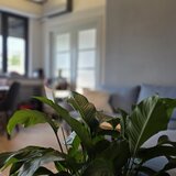 Cismigiu, Berthelot, 3 camere, 99 mp, renovat integral, ocazie
